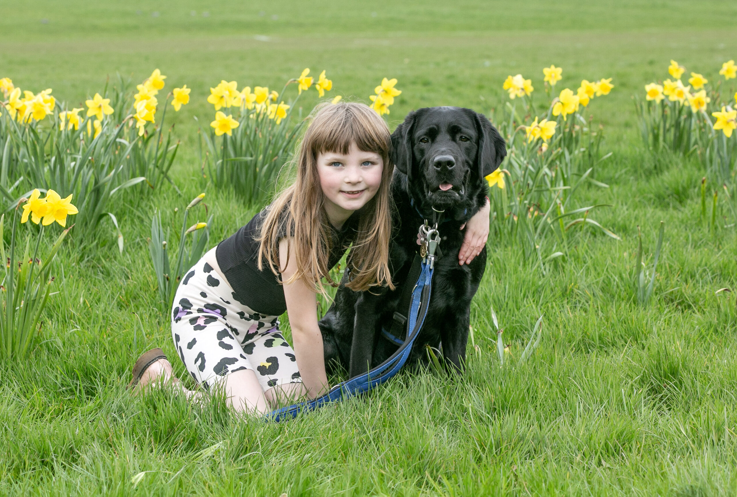 young girl with Labrador