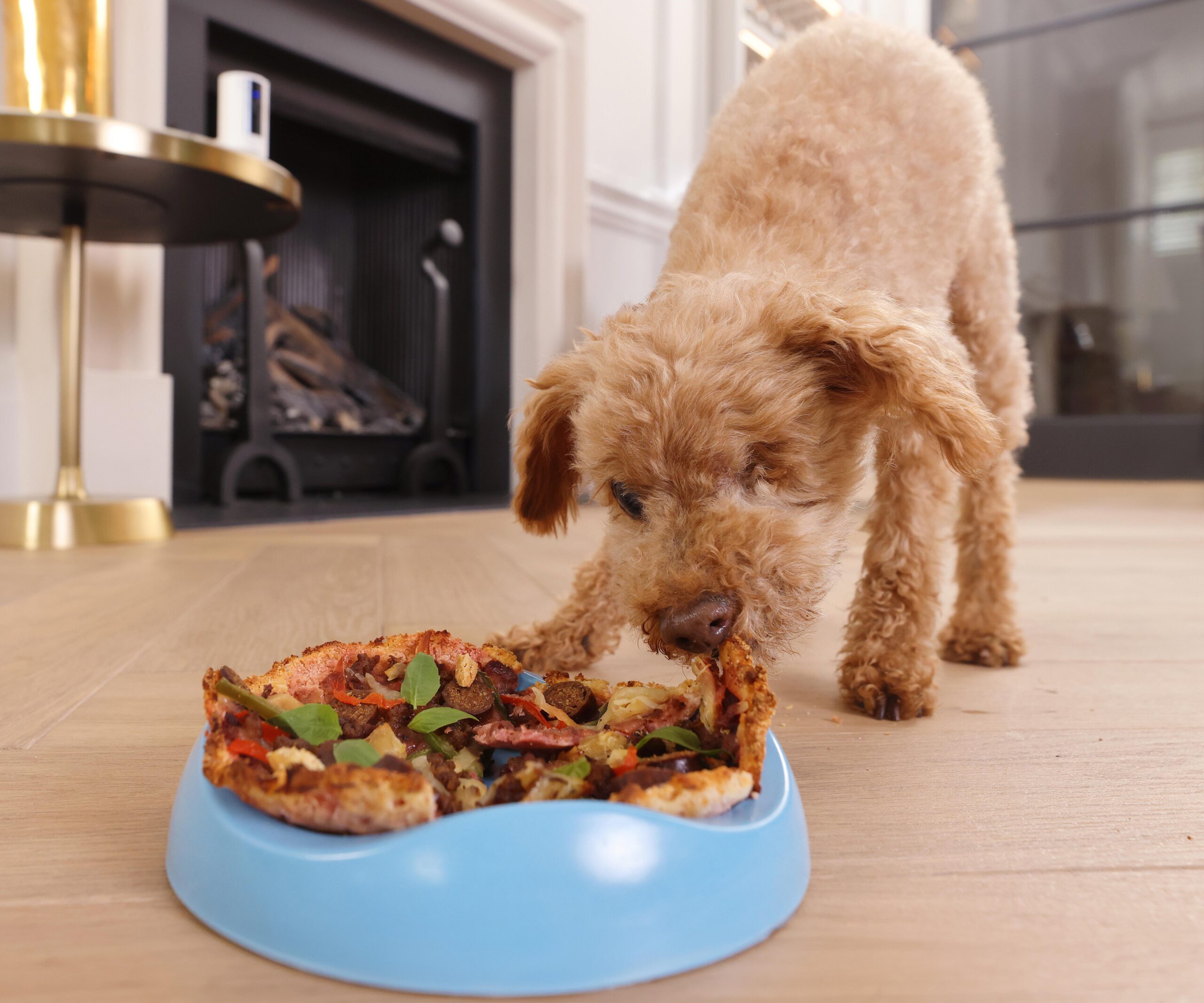 Ring to Spoil Pooches with Gourmet Takeaways!