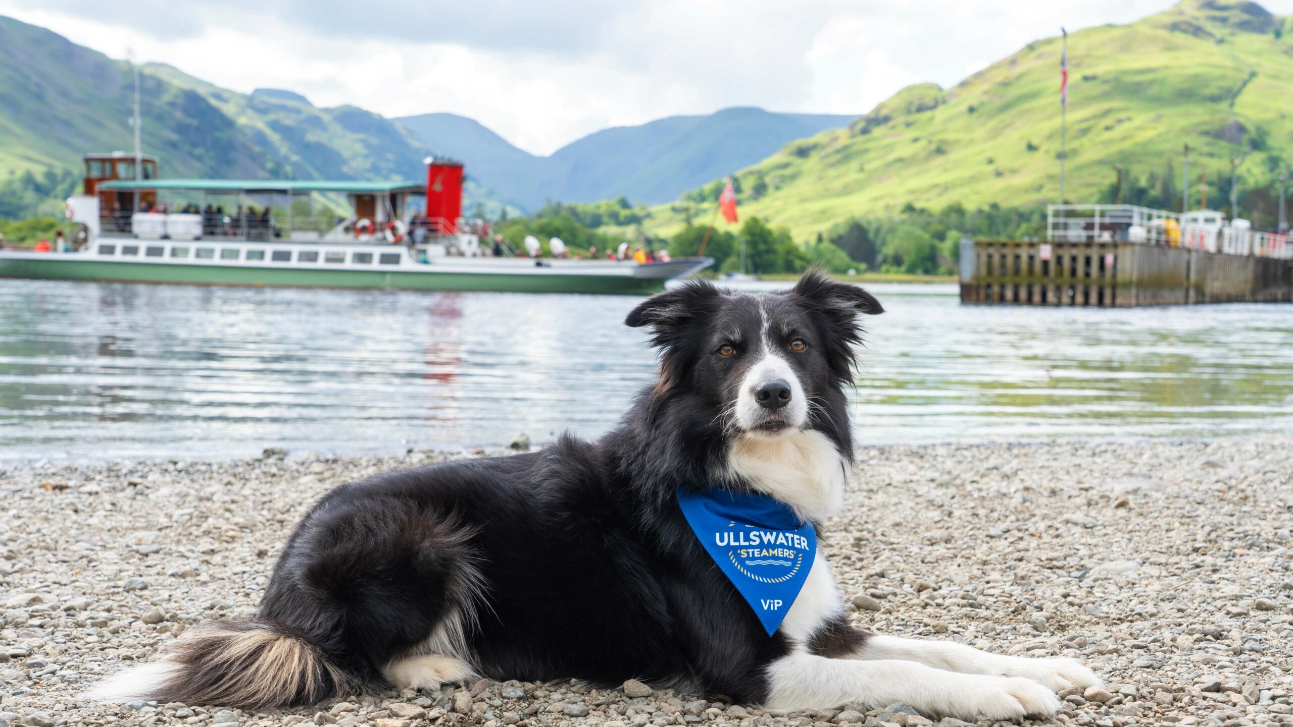 Paddy at dog-friendly Lake District attraction Ullswater 'Steamers'