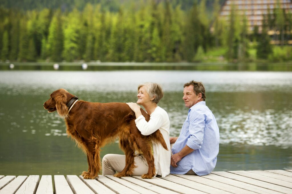 Couple sitting next to lake with dog