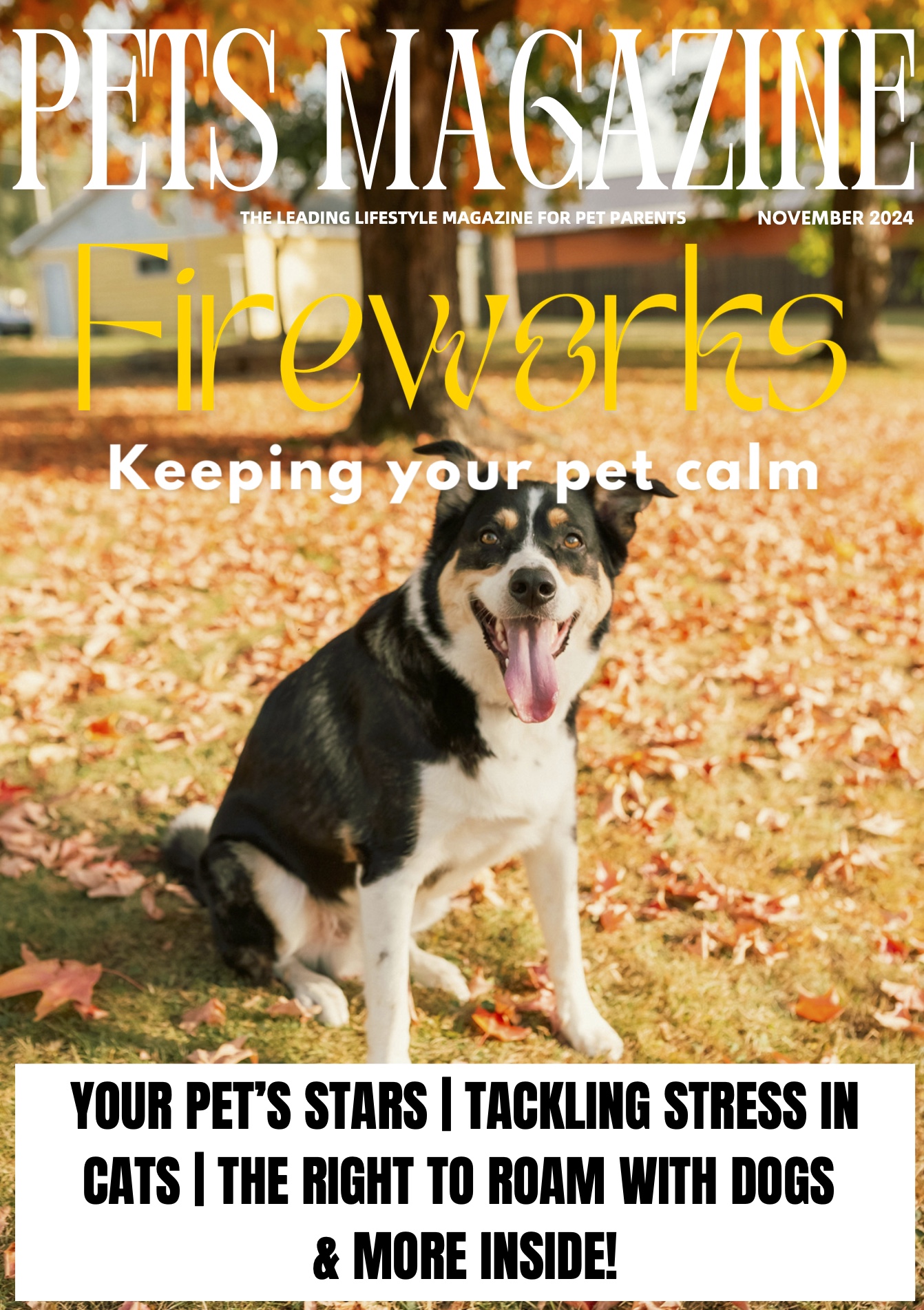 OUT NOW: Pets Magazine, November 2024