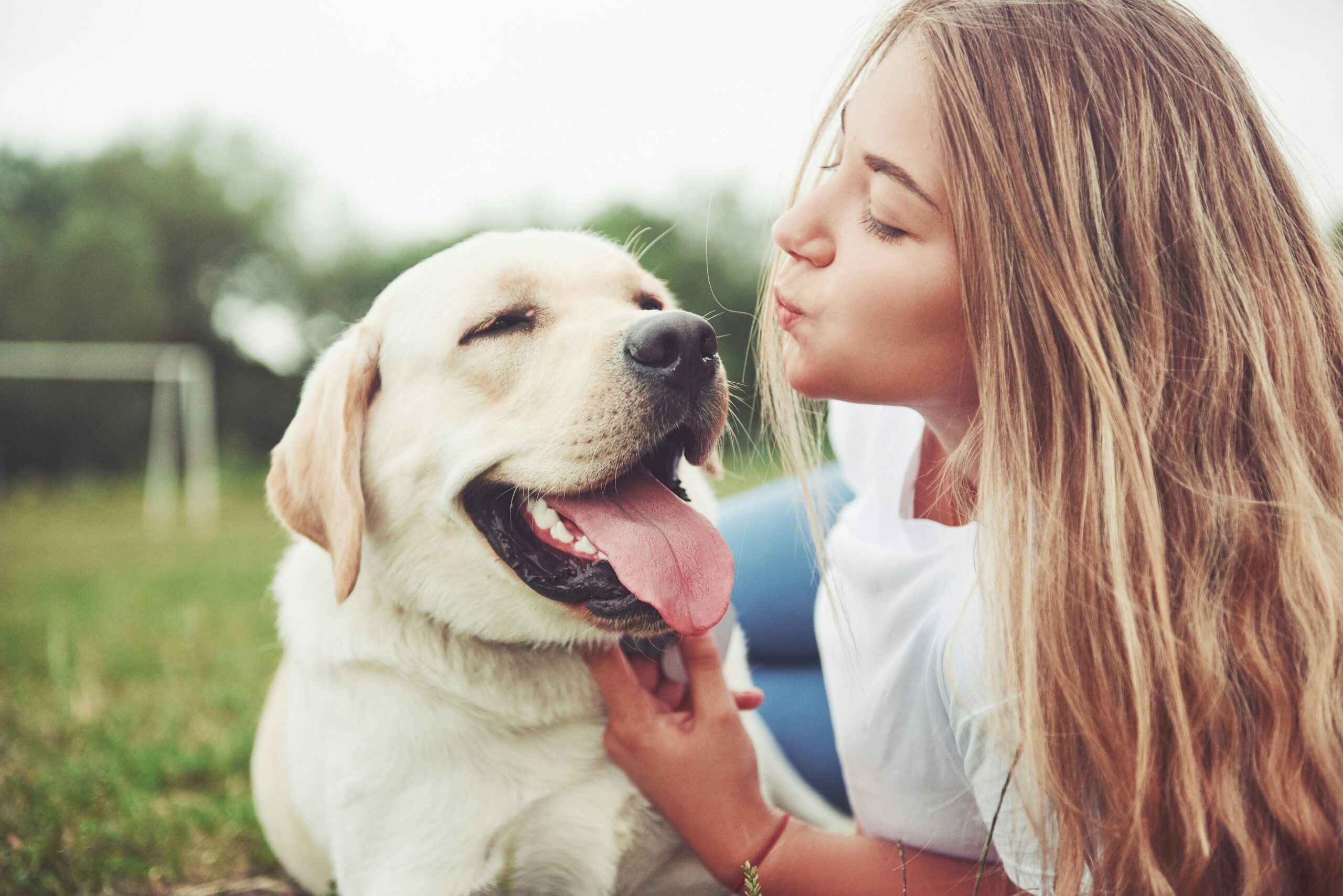 Top 10 Breeds That Make Excellent Therapy Dogs